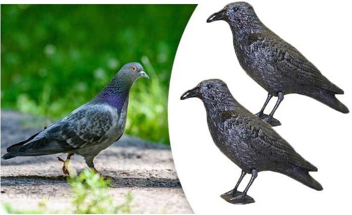 i-deminas-dwupak-odstraszacz-ptakow-plastikowy-kruk