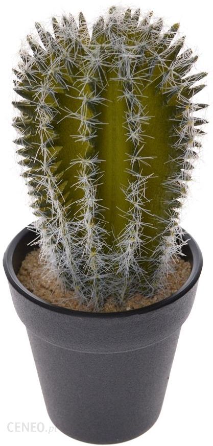 i-kaktus-wysoki-w-czarnej-doniczce-h18cm