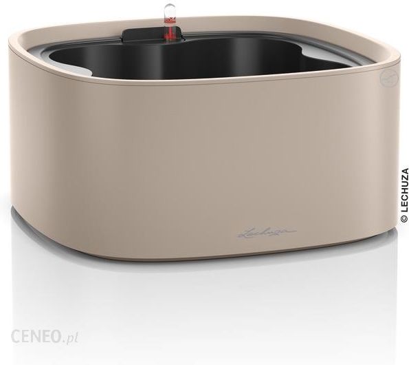 i-lechuza-misa-pila-piaskowy-braz