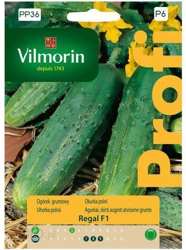 i-ogorek-gruntowy-regal-nasiona-tradycyjne-15szt-vilmorin