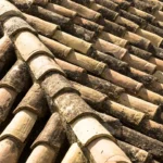 Projektant wnętrz – profesjonalne wsparcie w aranżacji przestrzeni